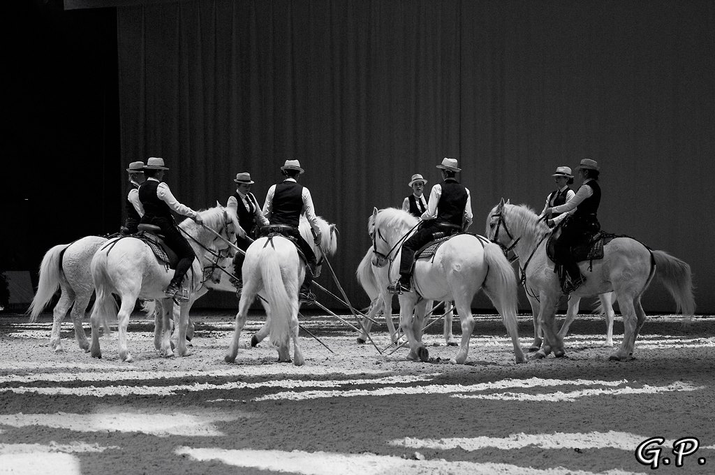 carrousel chevaux camargue cheval passion