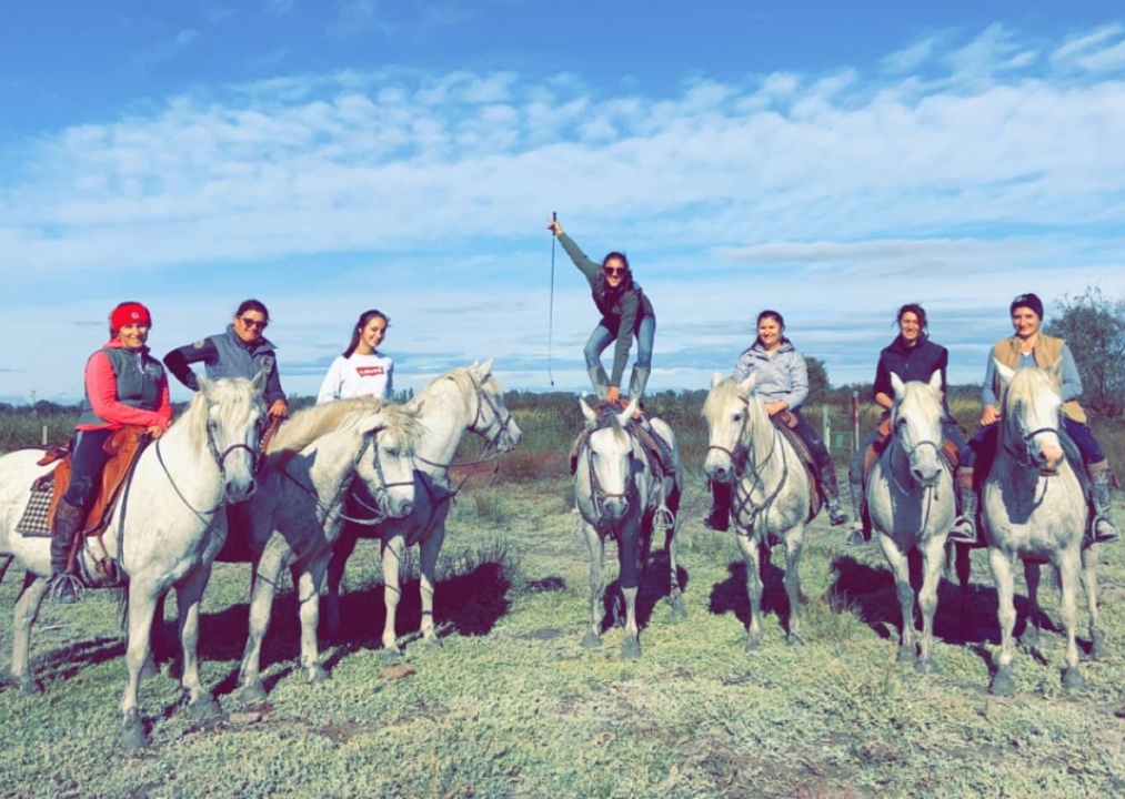 cours équitation camargue