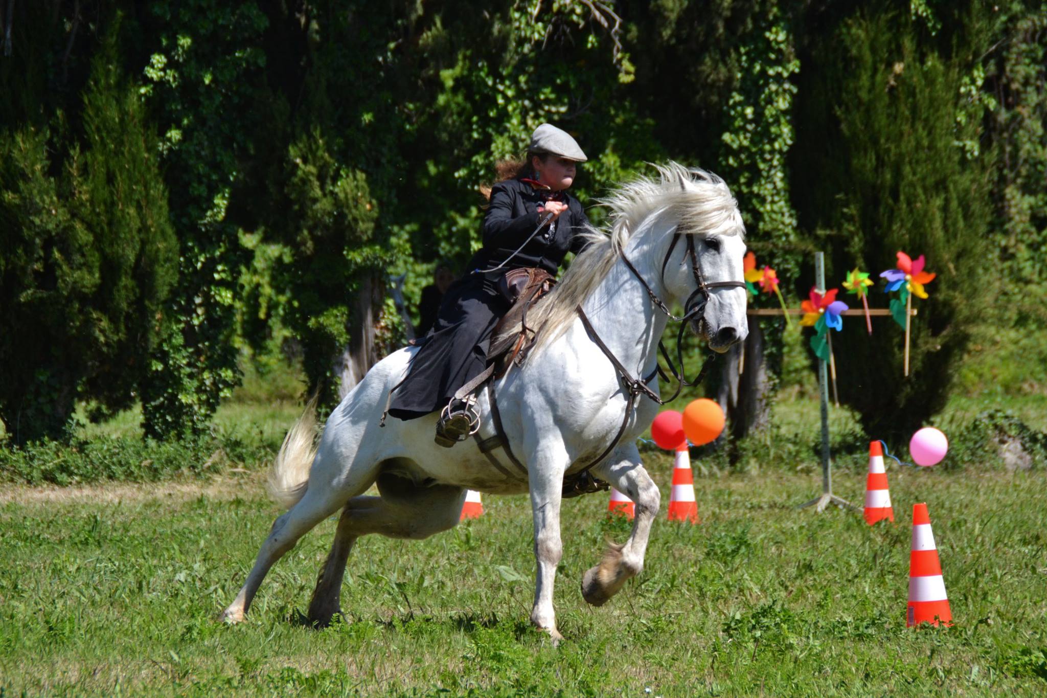 concours équitation camargue