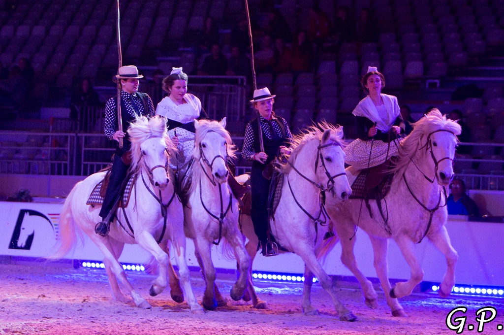 cheval passion reve et vole